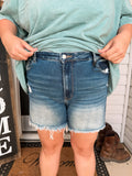 PLUS Size Vixon Frayed Short